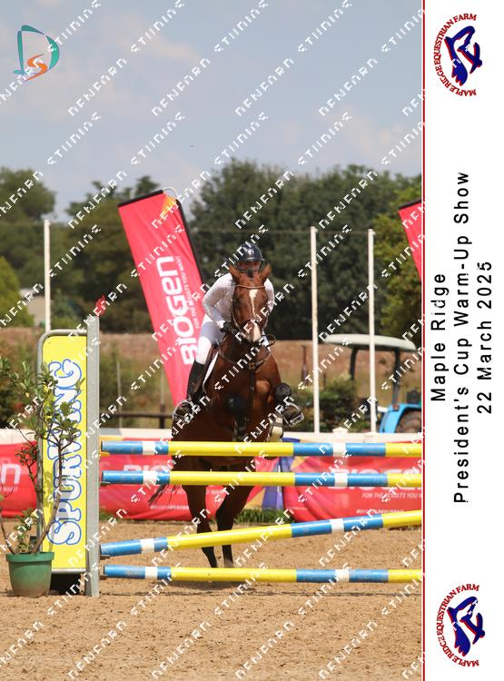 8771834 - sztrbe7e5gryroa