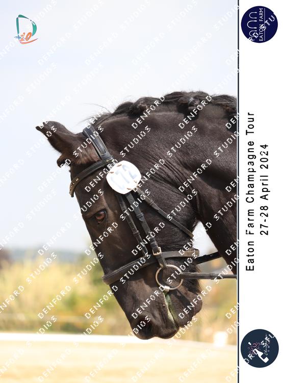 5287893 - tnypjgnwdnymjnp