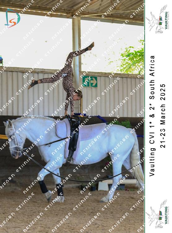 8798475 - qbcfyzdyqdmwyfn