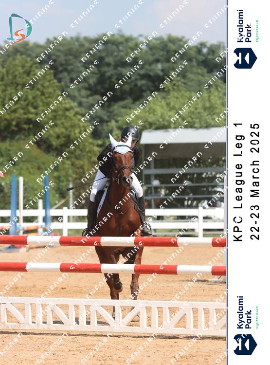 8786072 - etufpgzzppknubp