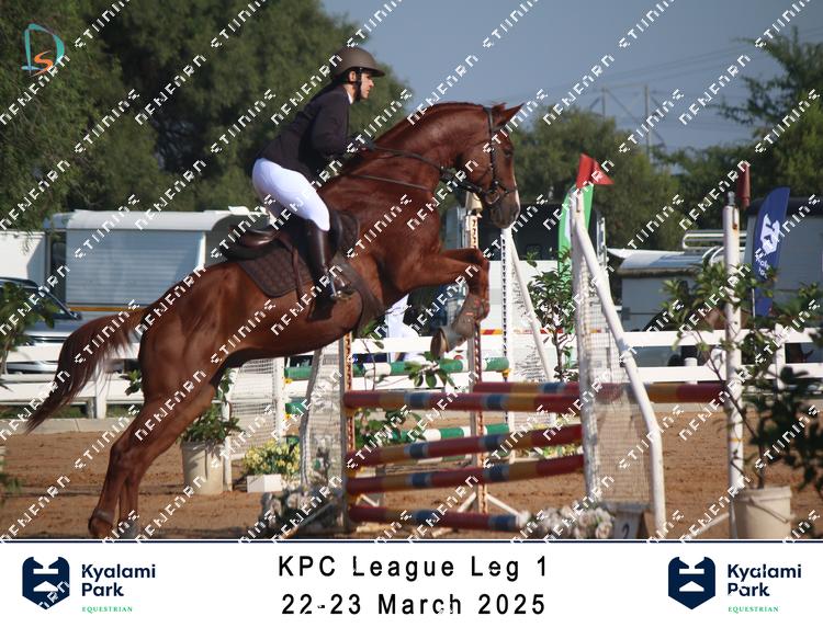 8753144 - rkg5fraybg42xsw