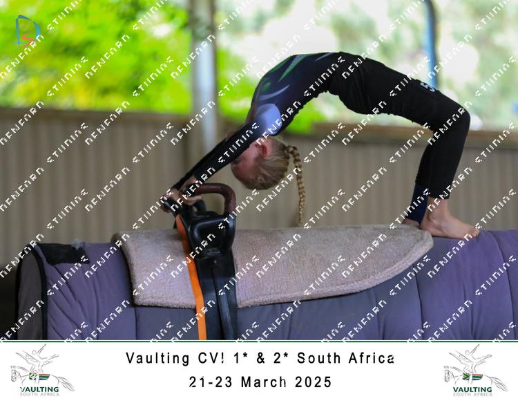 8779114 - tcphbmvfbiqm3vk