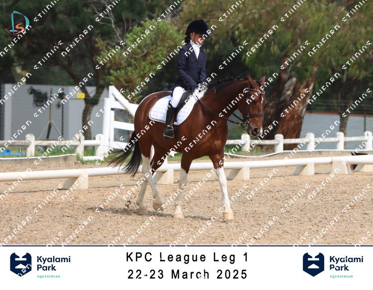 8793337 - 8gff2ozdgzz5ifk