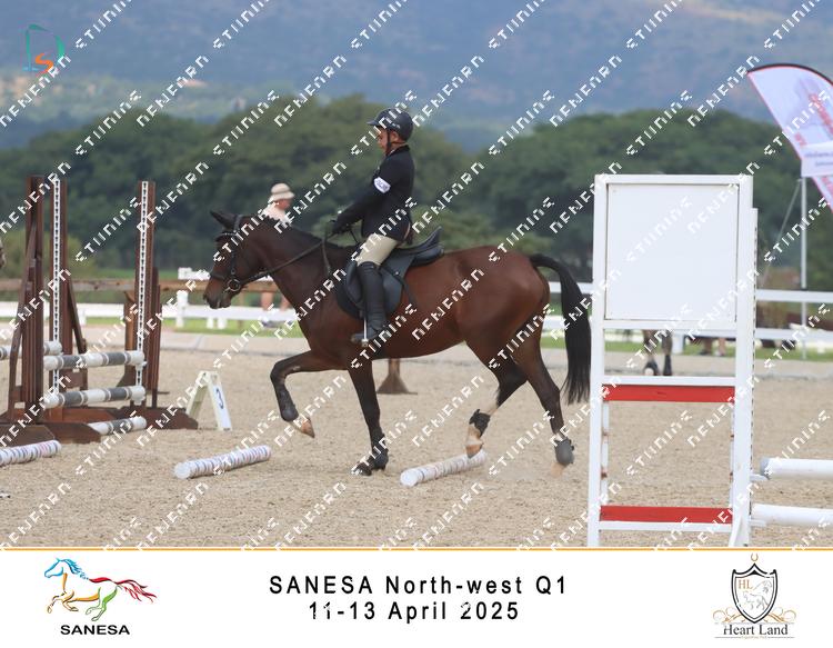 8938827 - nz6xomkh9hnu7vg