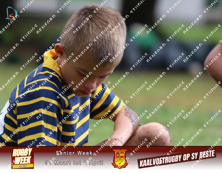 8881233 - jrfvorcav2k4enw