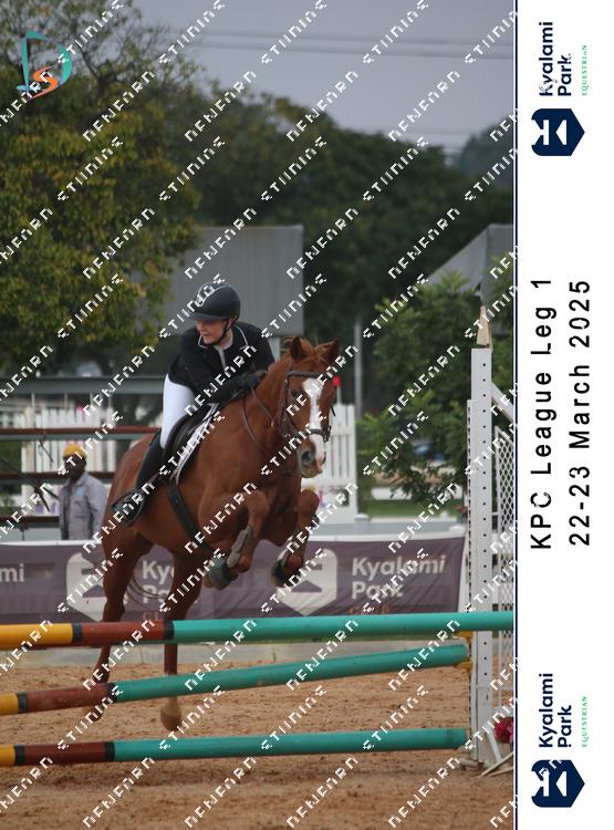 8767944 - csssqxzfrgtipta