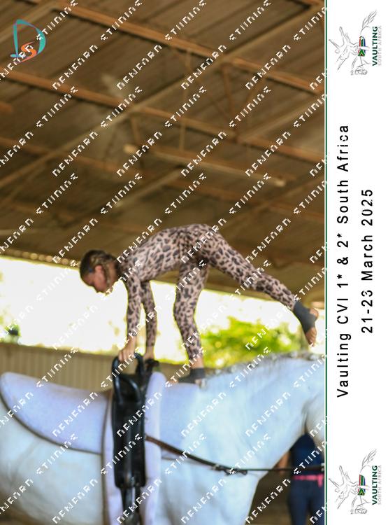 8798995 - cdqxsr89vebk4ne