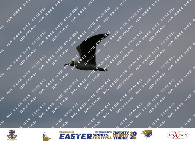 8914125 - nlnspmjvayxpctz