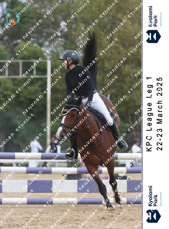 8795654 - ycbgncunhaehatb