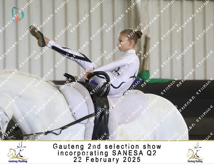 8545434 - fsp85tzwbszugff