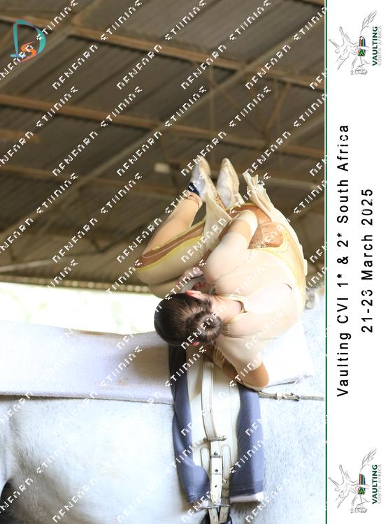 8752149 - muejpmjcrwz2b2r