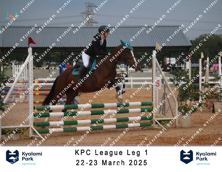 8767195 - ktshyxrvicn7cqn