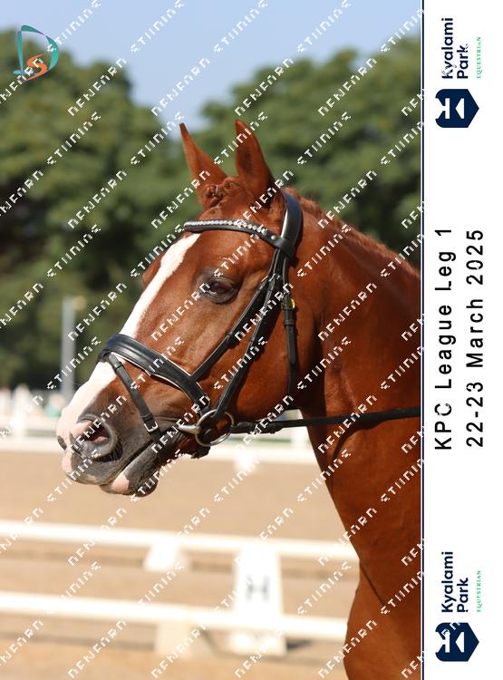 8784452 - excqaemuekctlfs