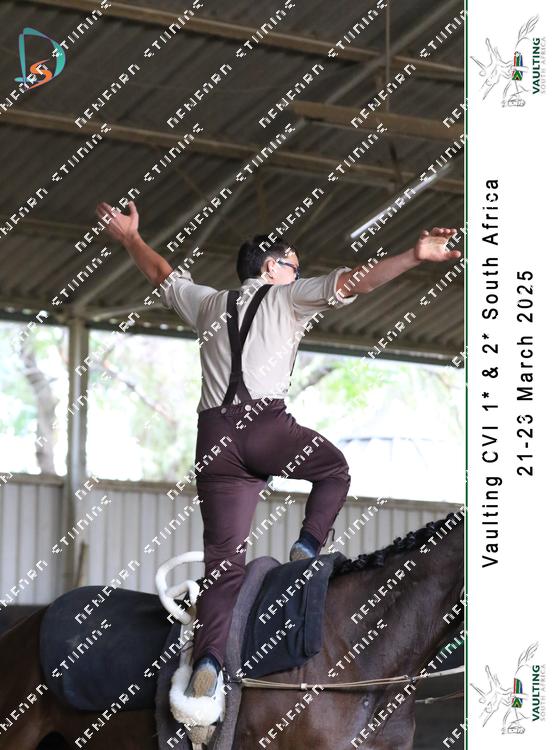 8752502 - d5s33dgts5vdivl