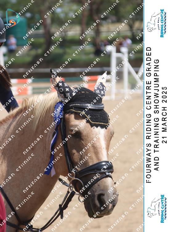 8750196 - mnh4n8h5ks53x7r