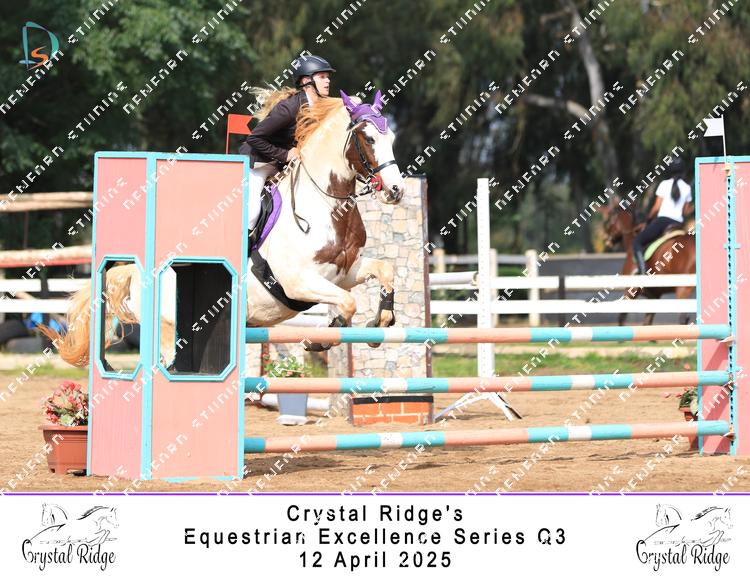 8965473 - estmsyaolcsgrcx