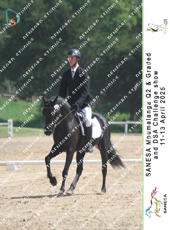 8943891 - satyq3tam6cxgzb