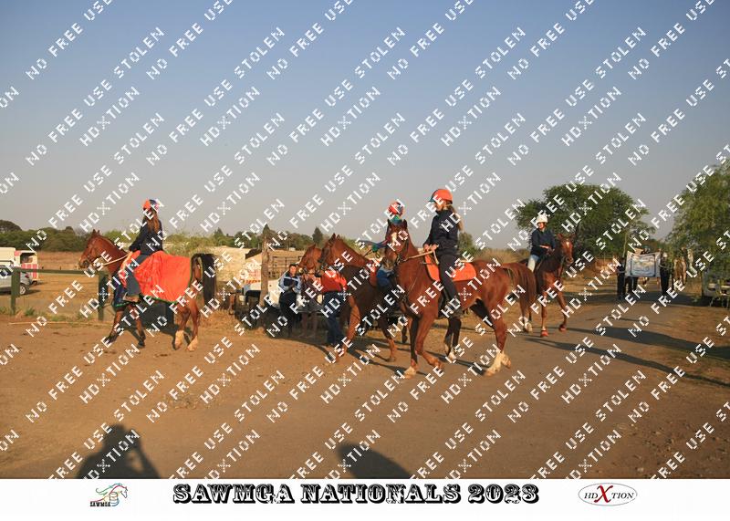 3722008 - 7lyvsykpw6