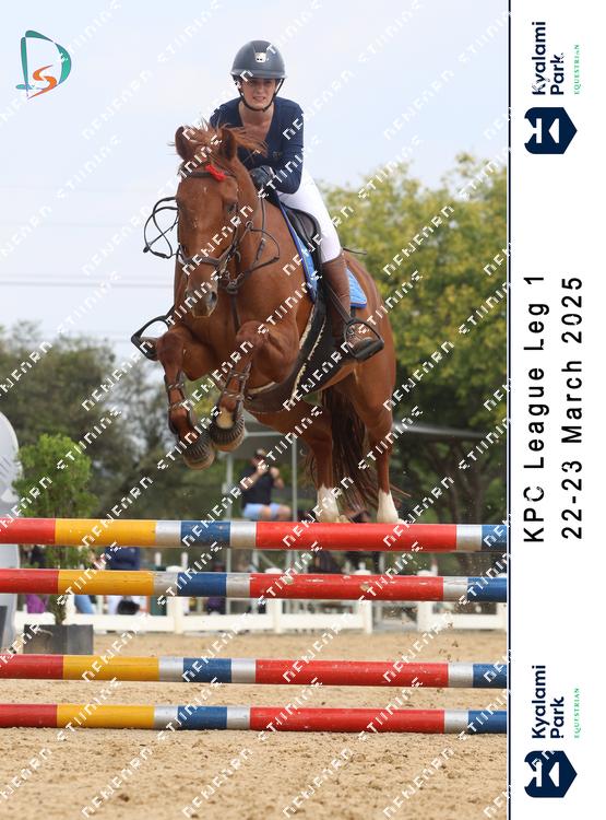 8793979 - ddqdvcev8elynzc