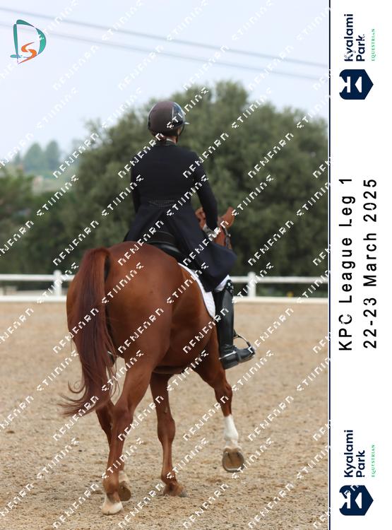 8793066 - qcfrfahsxmydpsw