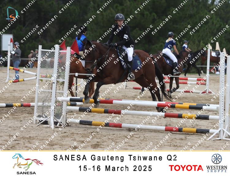 8732199 - iteszqpapy5j2xn