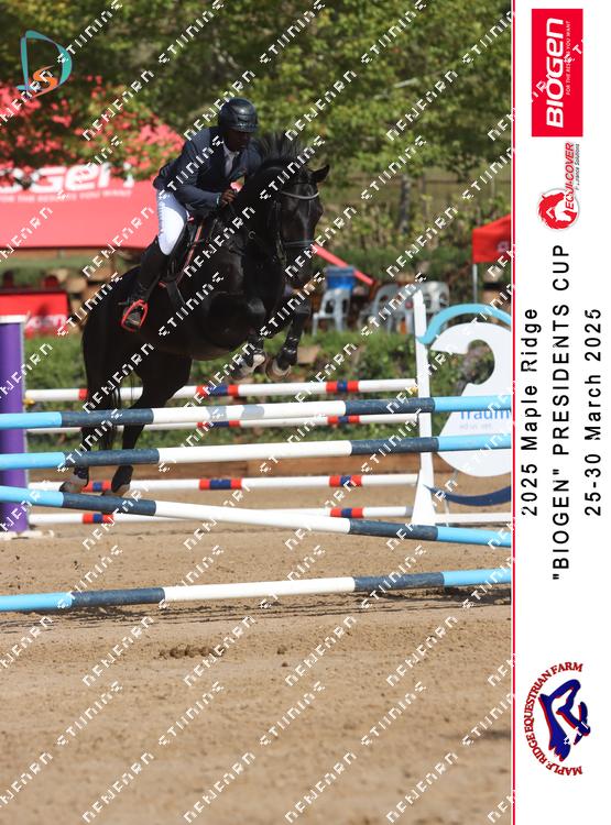 8849106 - fuds7ovlmwqr2pd