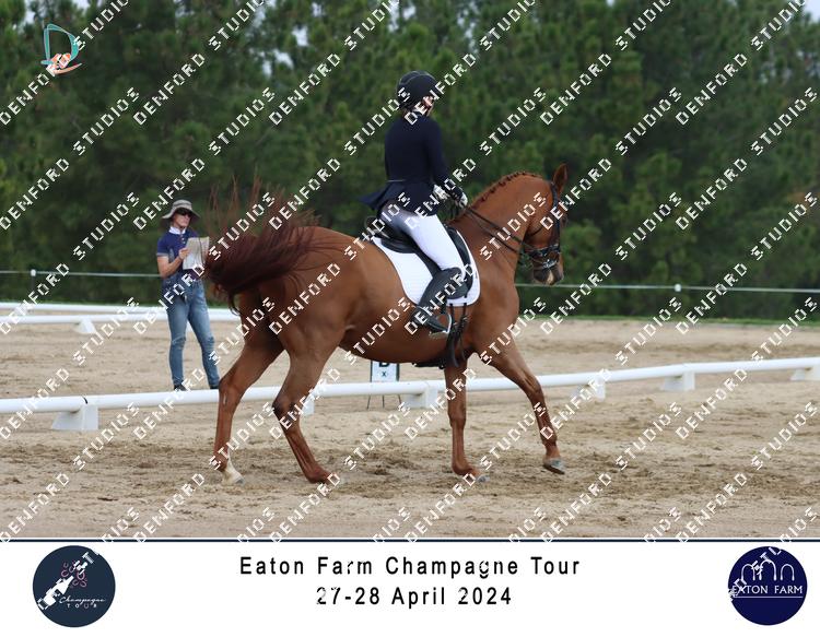 5273848 - ex9esrnpopthglw