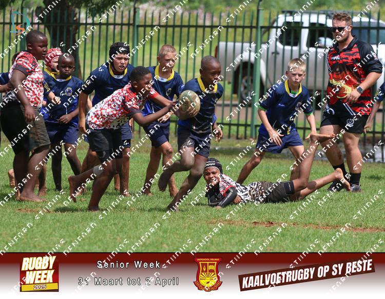 8875955 - kzn5gbzsrntqbgi