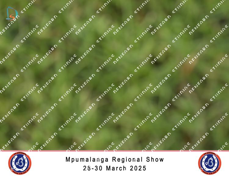 8852462 - kaagjngjomvoruc