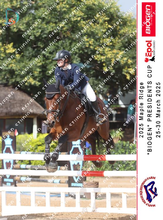 8820101 - yuupqirnajhdzek