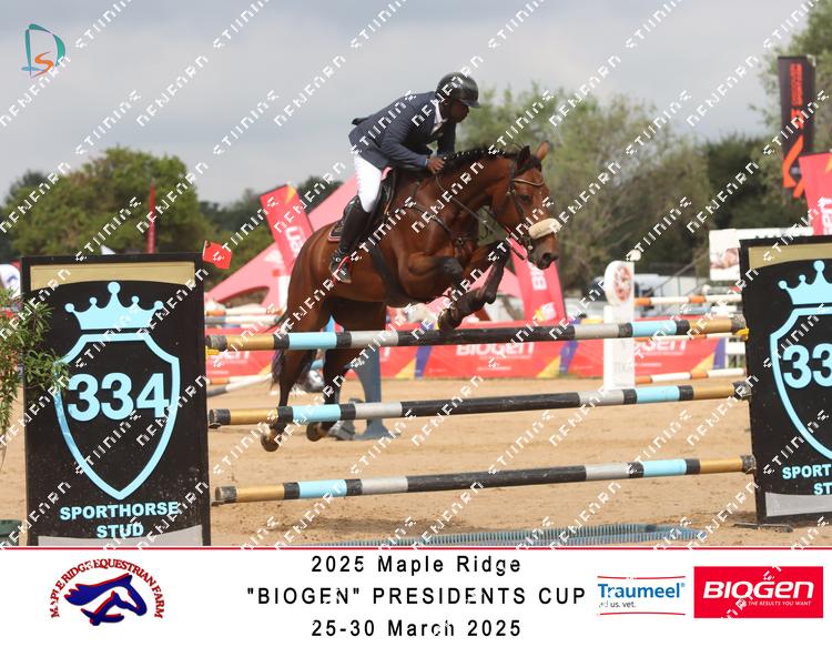 8847877 - 8qrefkvgpl52evv