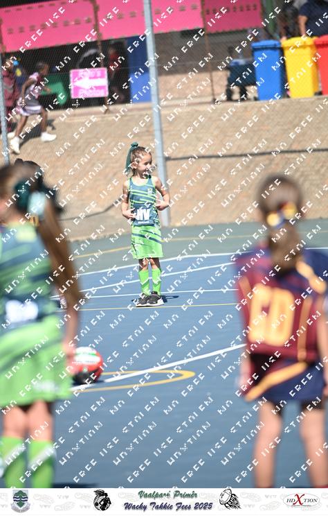 9038830 - qapb2p8gyzvo8vf