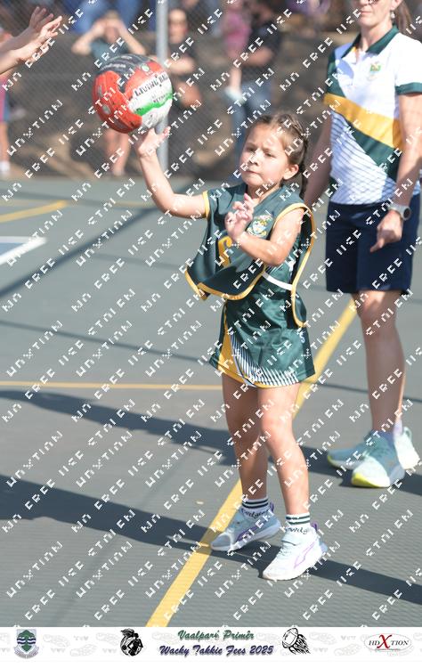 9036147 - mjtovhq4qsczupr