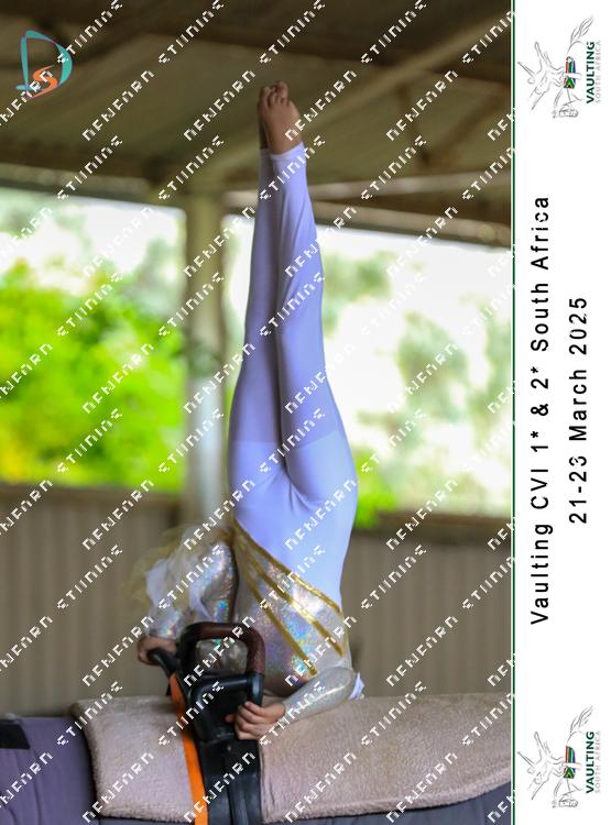 8779077 - n4gym2jq6zjwqrz