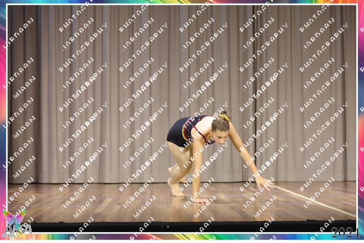 7950844 - stpnwfasywscyfe
