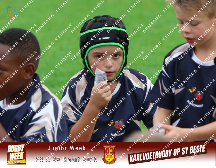 8821810 - nndns9vgfdlwknu