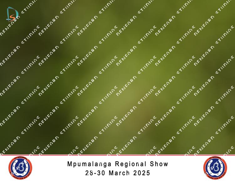 8852591 - b8sa9mbqxsuywmj