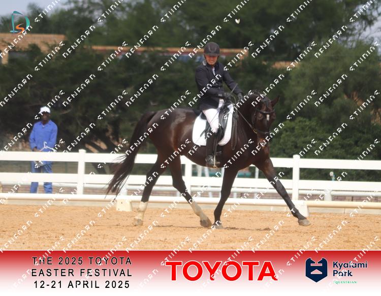 8970621 - eze3q267lzrezqa