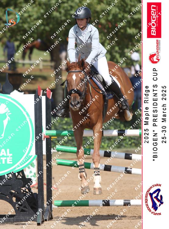 8848456 - cxedyzzy7hprn6c