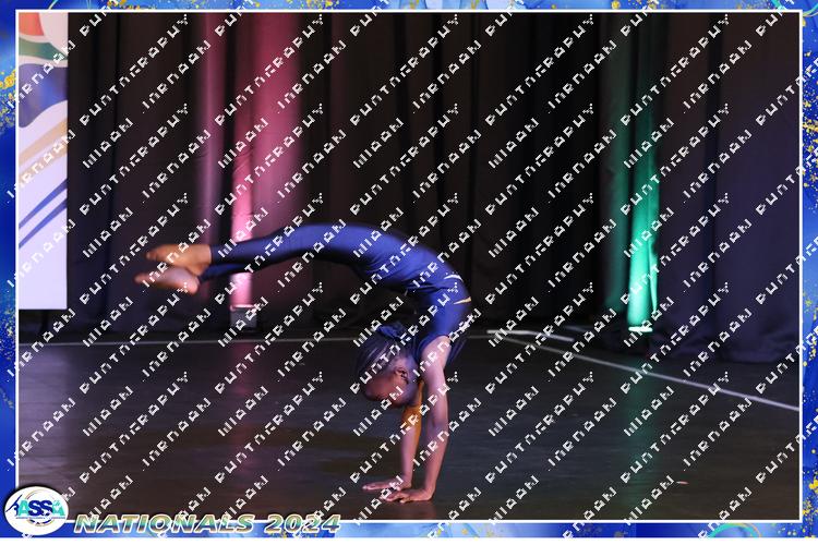 6681533 - wnfdq9setpu5xbs
