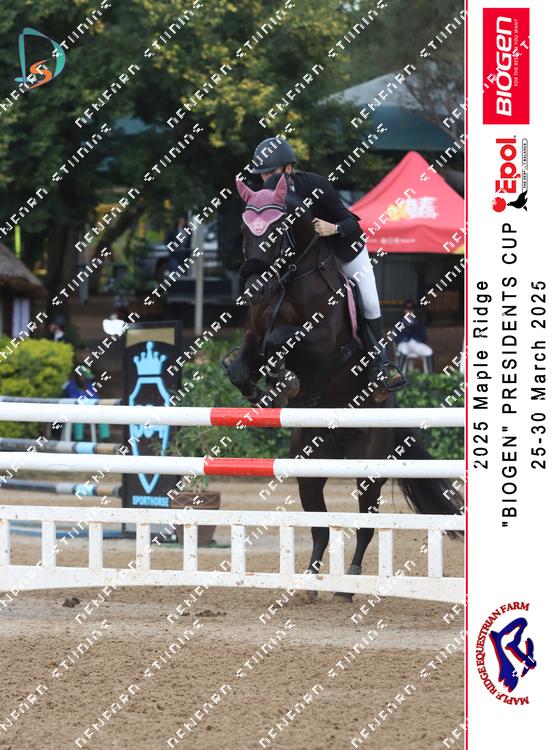 8820528 - dayir4ubbets8kw
