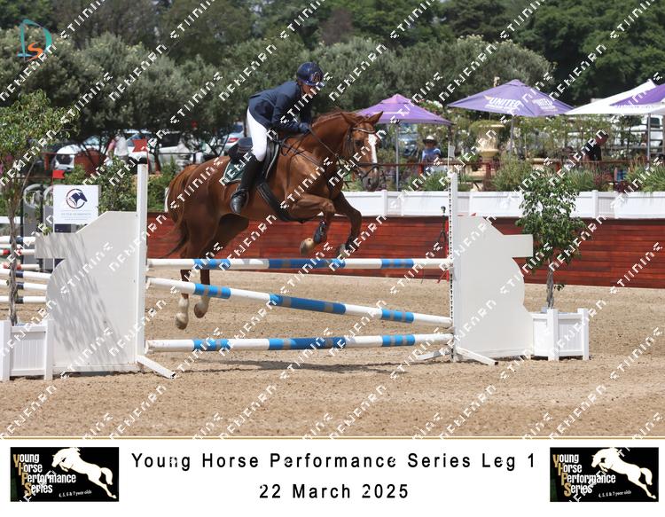 8763081 - vtt9qondxgqwlcn