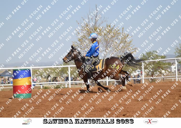 4446211 - nh93wyq2pjaxeag