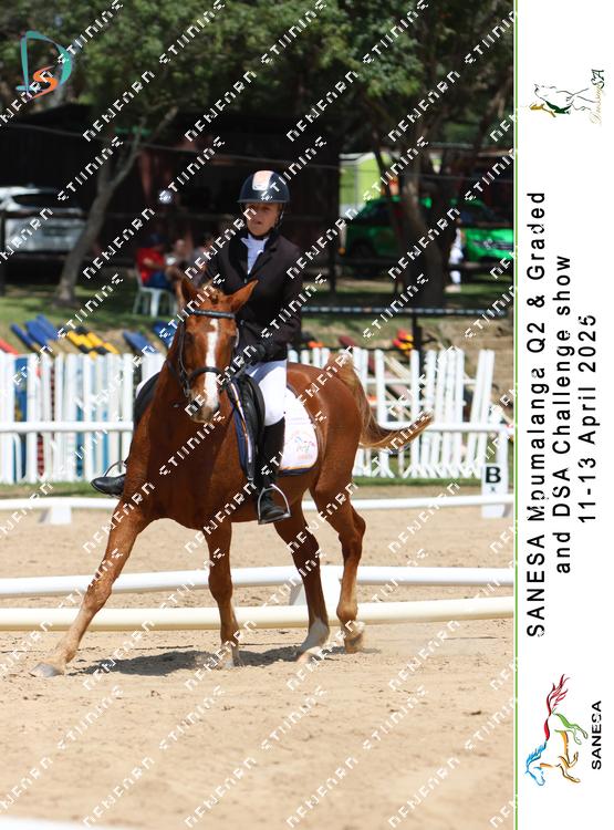 8930070 - 2qh9pcg29cqewuf