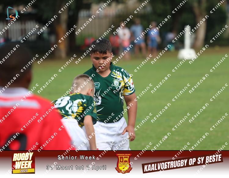 8867830 - 8sknzvp5azcpnrg