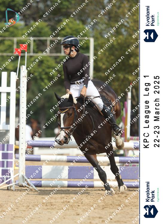 8795163 - nznegmuddzosxov
