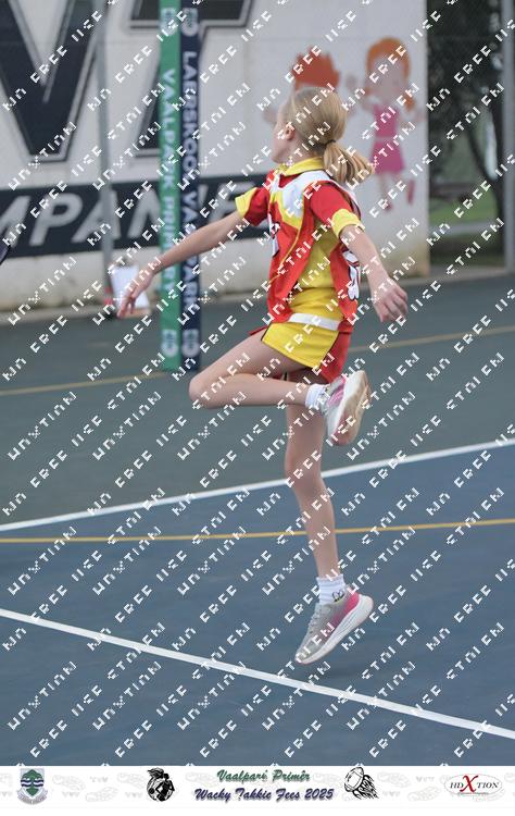 9036801 - zgynjdjxy2zbhds