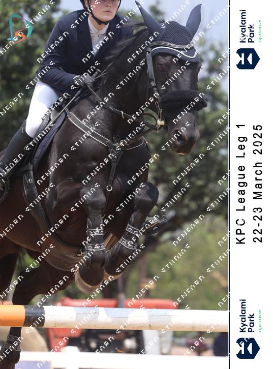 8784044 - mipthkak7ho7hin