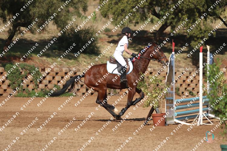 8182421 - nmext4hh2zj5qpl