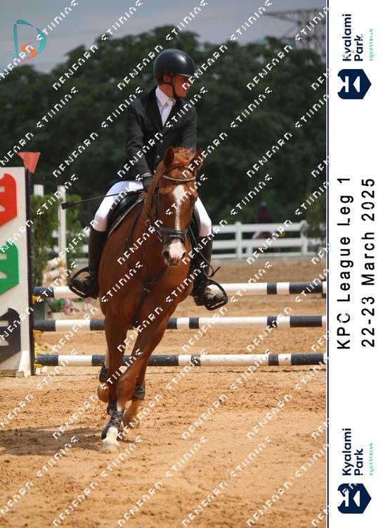 8767727 - hocalje5hy7xi5a